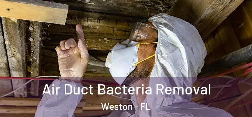Air Duct Bacteria Removal Weston - FL