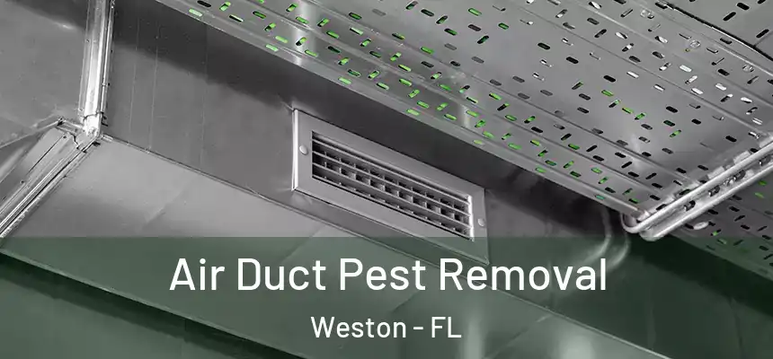 Air Duct Pest Removal Weston - FL