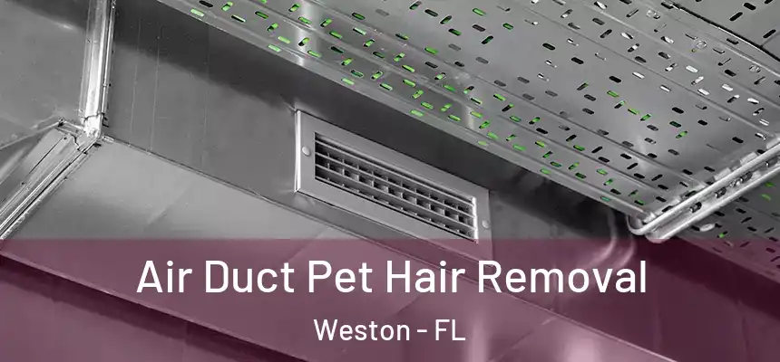  Air Duct Pet Hair Removal Weston - FL