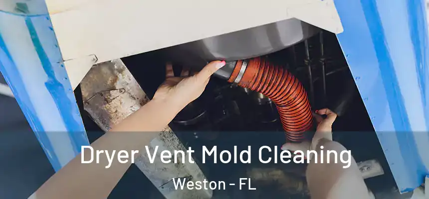 Dryer Vent Mold Cleaning Weston - FL