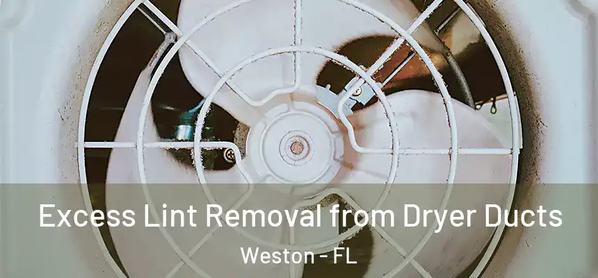 Excess Lint Removal from Dryer Ducts Weston - FL