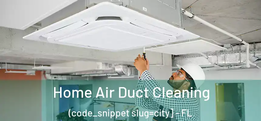  Home Air Duct Cleaning (code_snippet slug=city] - FL