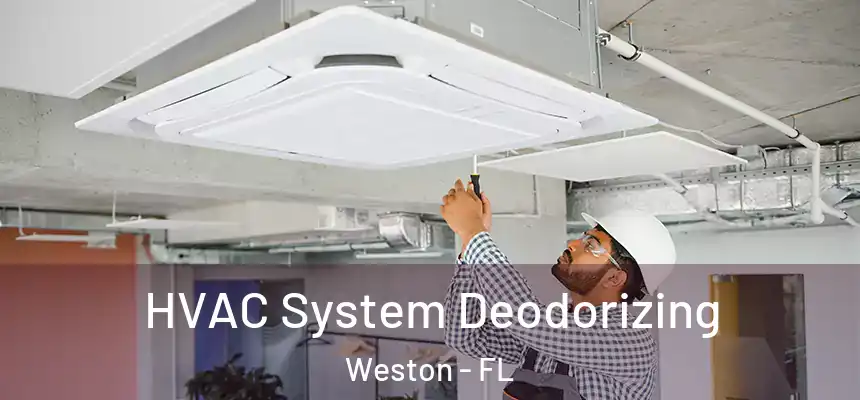 HVAC System Deodorizing Weston - FL