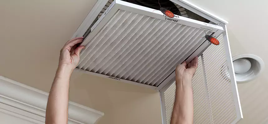 Our Insect Removal from Air Ducts Services in Weston, FL