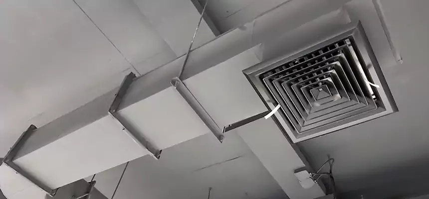 Our Pest Removal From Ducts Services in Weston, FL