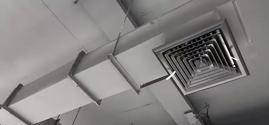 Our Rodent Droppings In Vents Services in Weston, FL