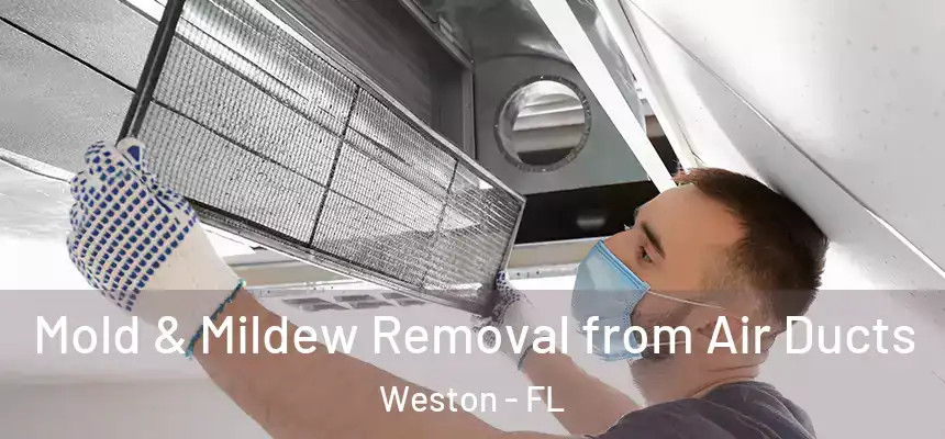 Mold & Mildew Removal from Air Ducts Weston - FL