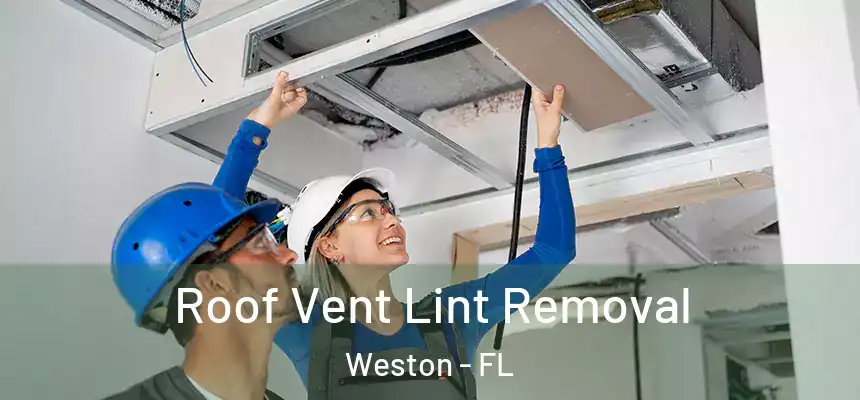  Roof Vent Lint Removal Weston - FL