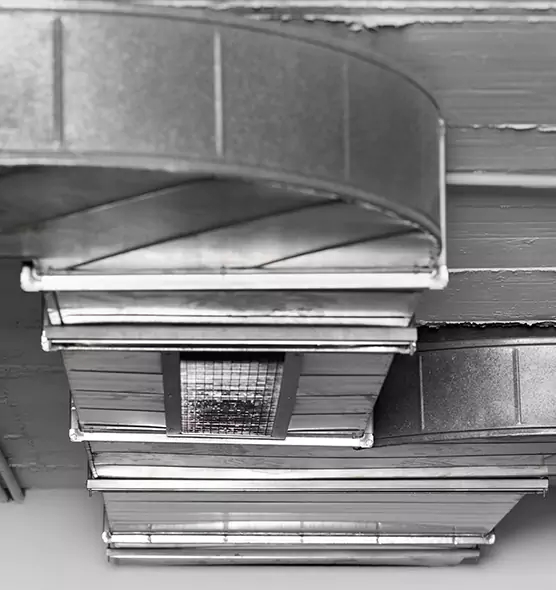 Professional Air Duct Pet Hair Removal in Weston, FL