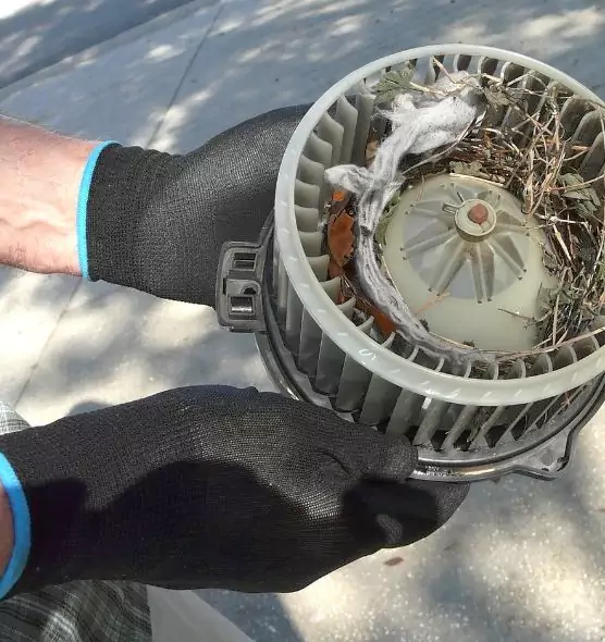 About Air Duct Rat Removal in Weston, FL