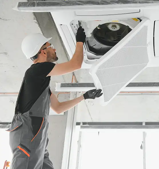 About Air Duct Rodent Removal in Weston, FL