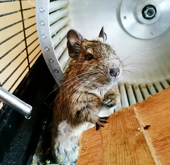 Why Homeowners & Businesses Trust Us Weston, FL