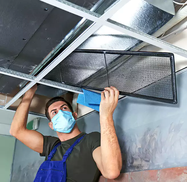 Why Homeowners Businesses Trust Us in Weston, FL