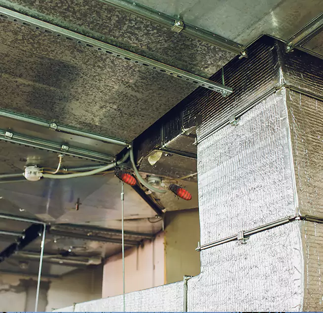 Why Homeowners & Businesses Trust Us Weston, FL?