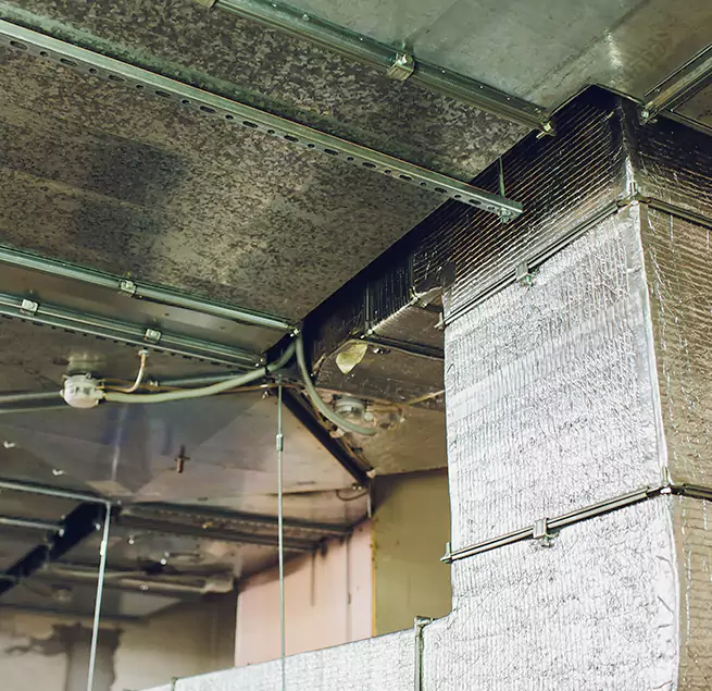 Why Homeowners & Businesses Trust Us in Weston, FL?